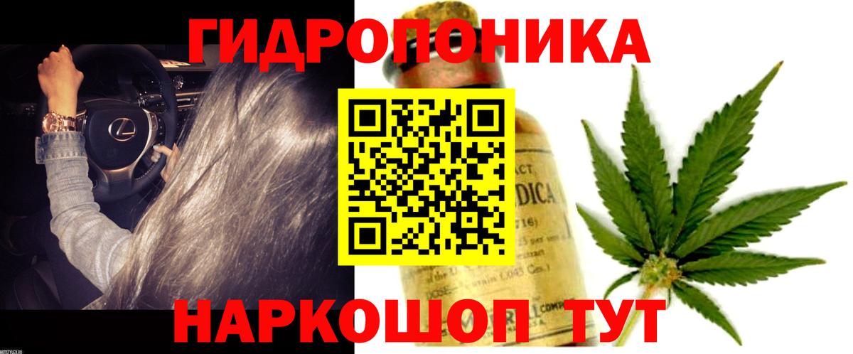 Бошки Шишки ГИДРОПОН  Бошки марихуана марихуана  Марихуана White Widow  Изобильный  Вход с VPN 